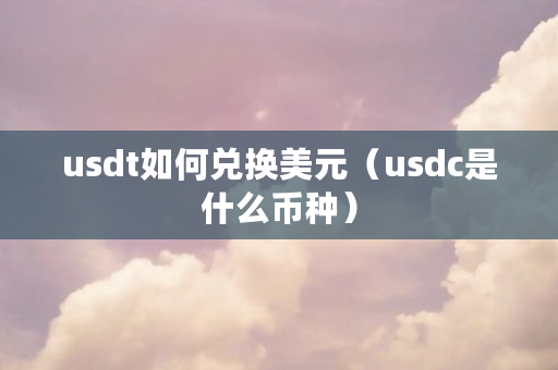 usdt如何兑换美元（usdc是什么币种）