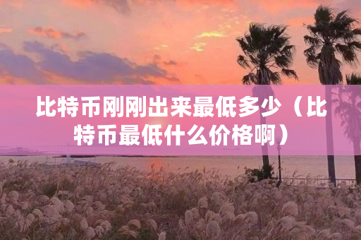 比特币刚刚出来**多少（比特币**什么价格啊）