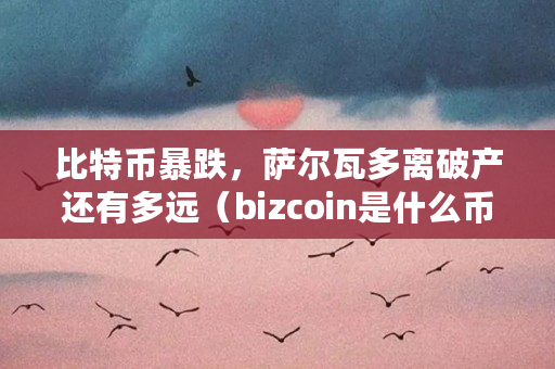 比特币暴跌，萨尔瓦多离破产还有多远（bizcoin是什么币）