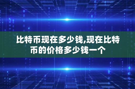 比特币现在多少钱,现在比特币的价格多少钱一个