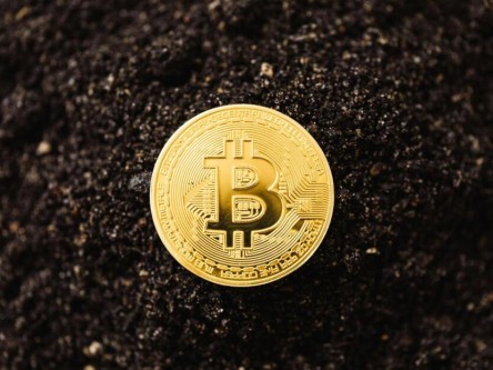 星空体育- 星空体育官方网站- 星空体育APP下载2026年2月12日