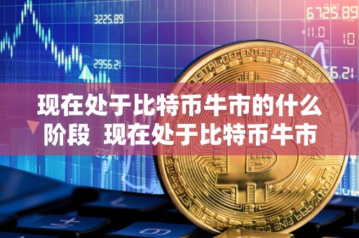 现在处于比特币牛市的什么阶段 现在处于比特币牛市的什么阶段及现在处于比特币牛市的什么阶段了