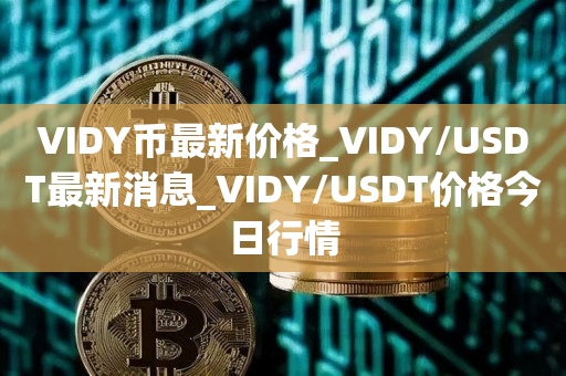 VIDY币**价格_VIDY/USDT**消息_VIDY/USDT价格今日行情1