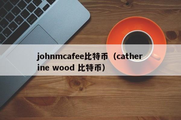 johnmcafee比特币(catherine wood 比特币)