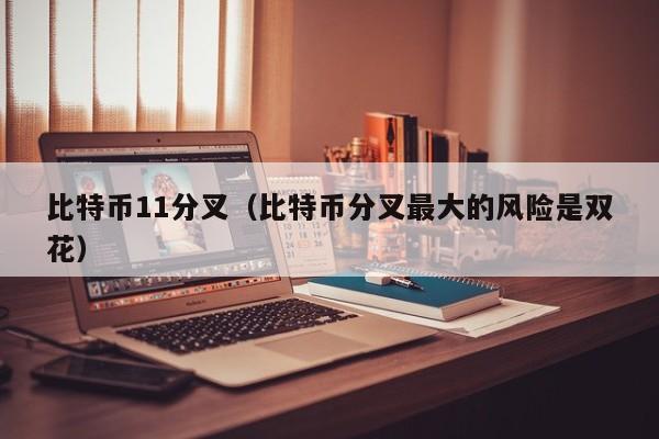 比特币11分叉(比特币分叉**的风险是双花)