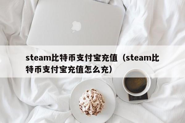 steam比特币支付宝充值(steam比特币支付宝充值怎么充)