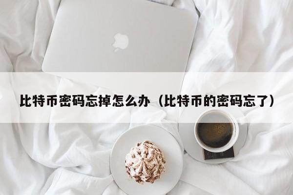 比特币密码忘掉怎么办(比特币的密码忘了)