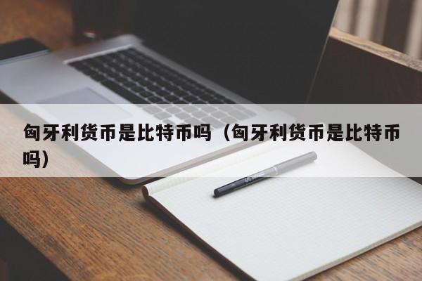 匈牙利货币是比特币吗(匈牙利货币是比特币吗)