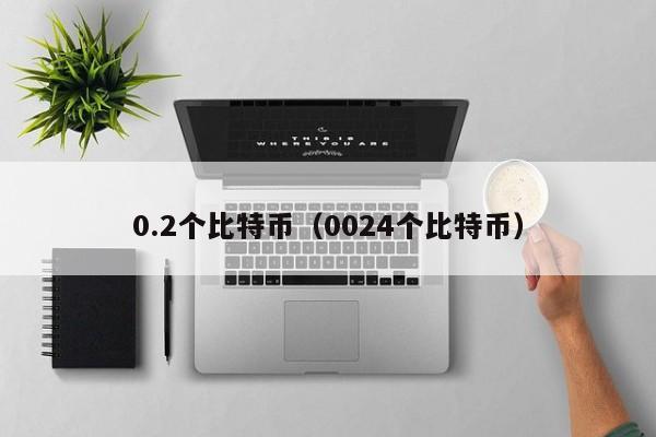 0.2个比特币(0024个比特币)