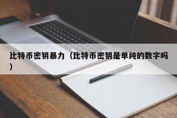 比特币密钥**(比特币密钥是单纯的数字吗)