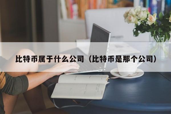 比特币属于什么公司(比特币是那个公司)