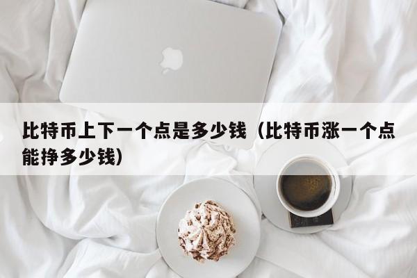 比特币上下一个点是多少钱(比特币涨一个点能挣多少钱)