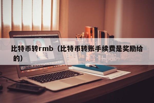 比特币转rmb(比特币转账手续费是奖励给 的)