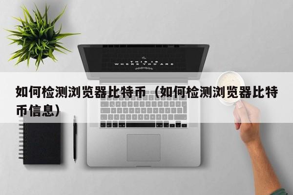 如何检测浏览器比特币(如何检测浏览器比特币信息)