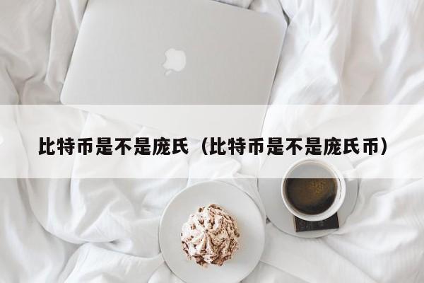 比特币是不是庞氏(比特币是不是庞氏币)