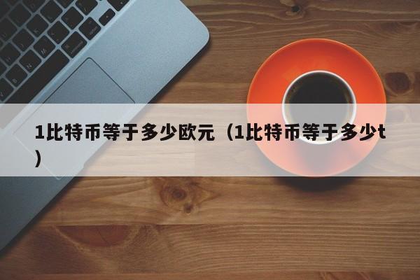 1比特币等于多少欧元(1比特币等于多少t)