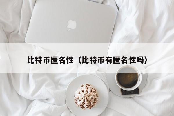 比特币匿名性(比特币有匿名性吗)