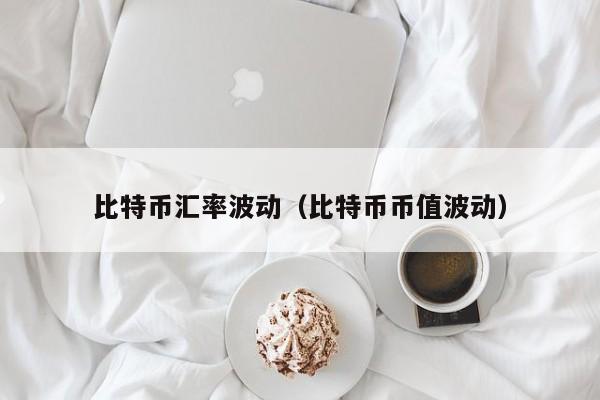 比特币汇率波动(比特币币值波动)