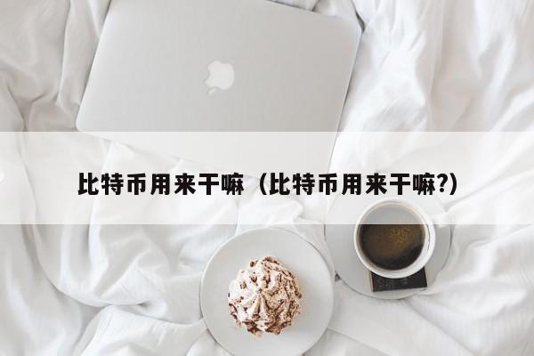 比特币用来干嘛(比特币用来干嘛?)