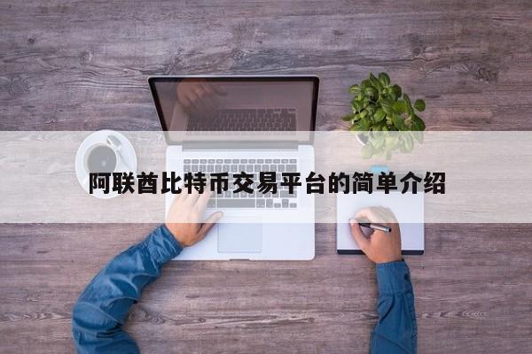 阿联酋比特币交易平台的简单介绍