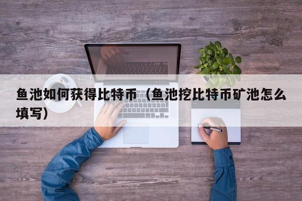 鱼池如何获得比特币(鱼池挖比特币矿池怎么填写)