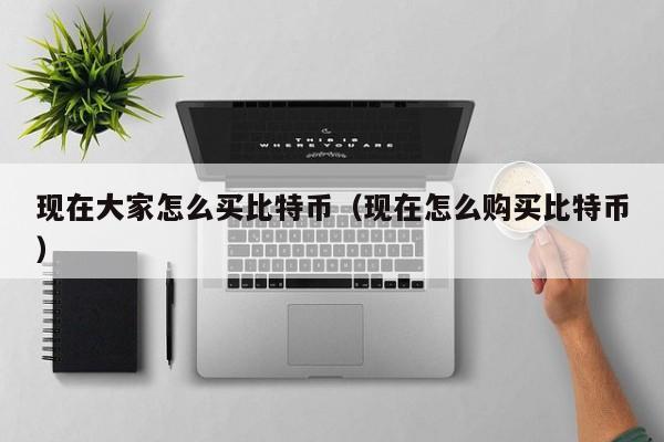 现在大家怎么买比特币(现在怎么购买比特币)