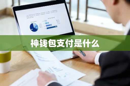 神钱包支付是什么