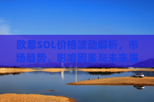 欧意SOL价格波动解析,市场趋势、影响因素与未来展望_