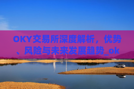 OKY交易所深度解析,优势、风险与未来发展趋势_ok交易所登录网址