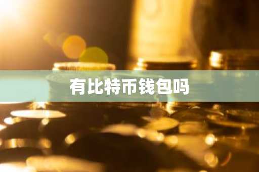 有比特币钱包吗