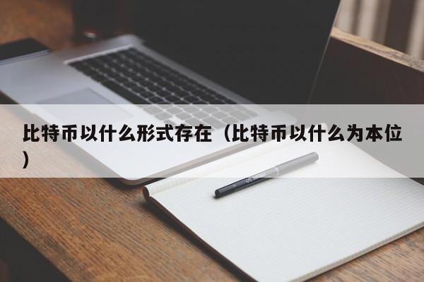 比特币以什么形式存在(比特币以什么为本位)