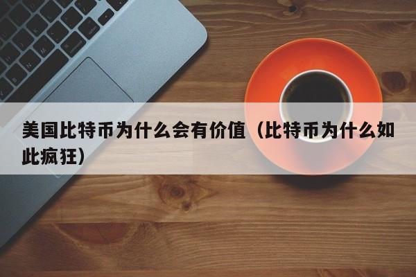 美国比特币为什么会有价值(比特币为什么如此疯狂)