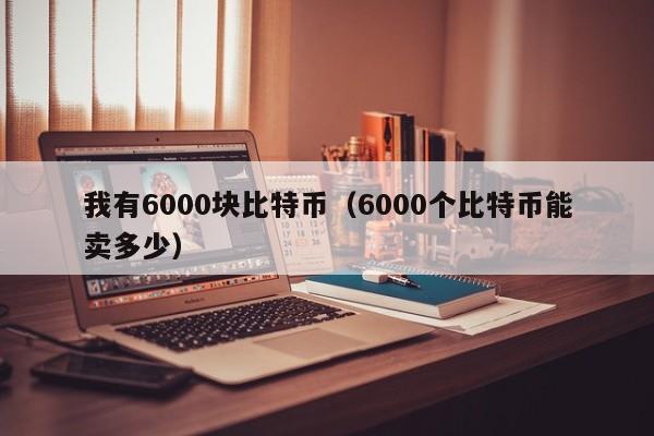 我有6000块比特币(6000个比特币能卖多少)