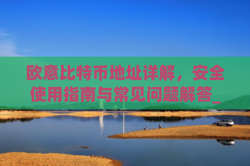 欧意比特币地址详解，安全使用指南与常见问题解答_欧比特币app