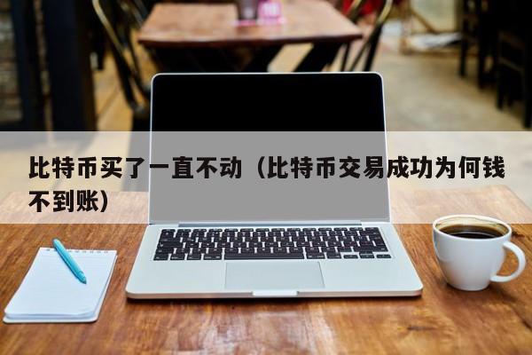 比特币买了一直不动(比特币交易成功为何钱不到账)