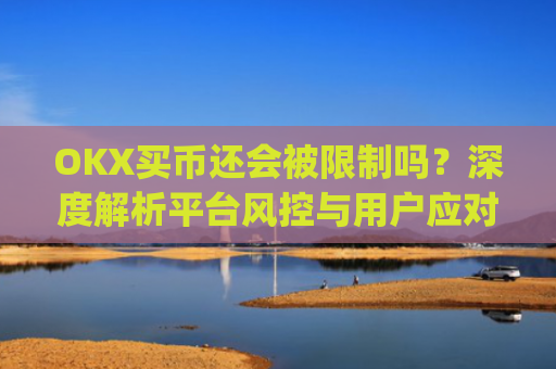 OKX买币还会被限制吗?深度解析平台风控与用户应对策略_okex币币交易教程详解