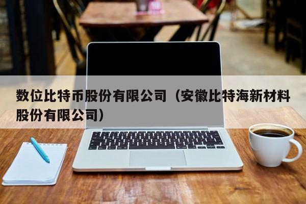 数位比特币股份有限公司(安徽比特海新材料股份有限公司)