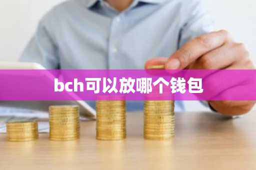 bch可以放哪个钱包