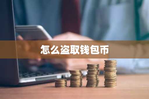 怎么盗取钱包币