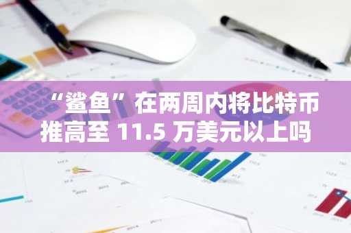 “鲨鱼”在两周内将比特币推高至 11.5 万美元以上吗?