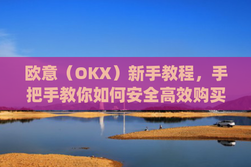 欧意(OKX)新手教程,手把手教你如何安全**购买数字货币_