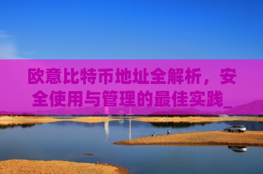 欧意比特币地址全解析，安全使用与管理的**实践_比特币欧元交易所