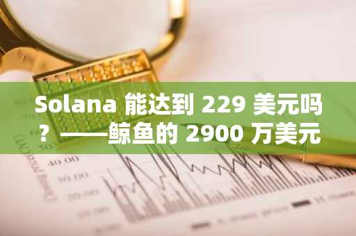 Solana 能达到 229 美元吗？——鲸鱼的 2900 万美元赌注说是的，如果……
