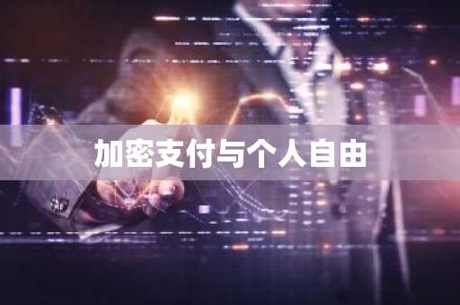 加密支付与个人自由