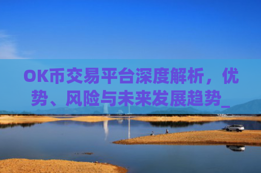 OK币交易平台深度解析,优势、风险与未来发展趋势_