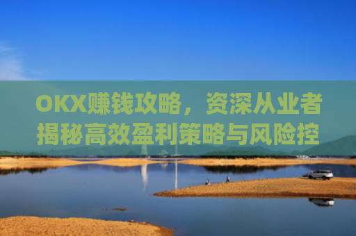 OKX赚钱攻略，资深从业者揭秘**盈利策略与风险控制_okx赚钱图片
