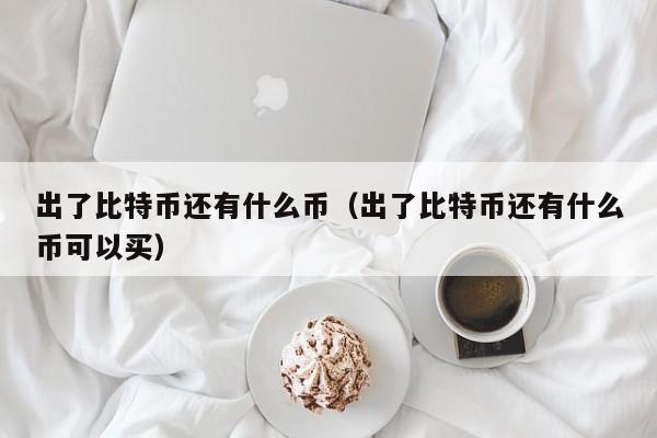 出了比特币还有什么币(出了比特币还有什么币可以买)