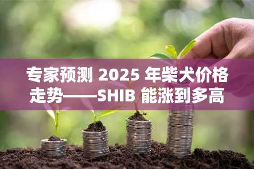 专家预测 2025 年柴犬价格走势——SHIB 能涨到多高？
