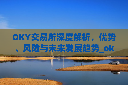 OKY交易所深度解析,优势、风险与未来发展趋势_ok交易所登录网址