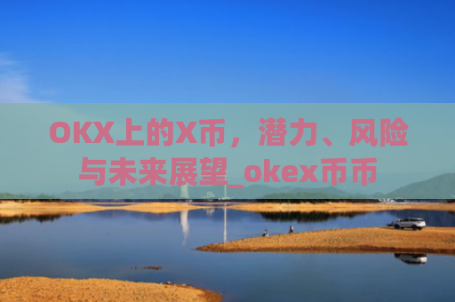 OKX上的X币,潜力、风险与未来展望_okex币币